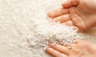 米可以放微波炉煮吗 米能不能放微波炉煮呢