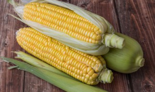 微波炉可以煮玉米棒吗 微波炉能不能直接煮玉米