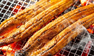 海鳗干怎么做好吃 海鳗干的烹饪方法