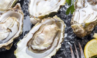 干的生蚝肉怎么做好吃 干的生蚝肉怎么做好吃