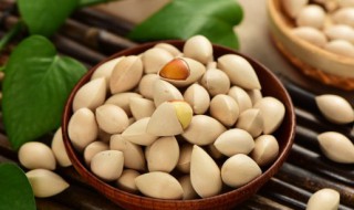 新鲜白果煮水喝怎么做 新鲜白果煮水喝的方法