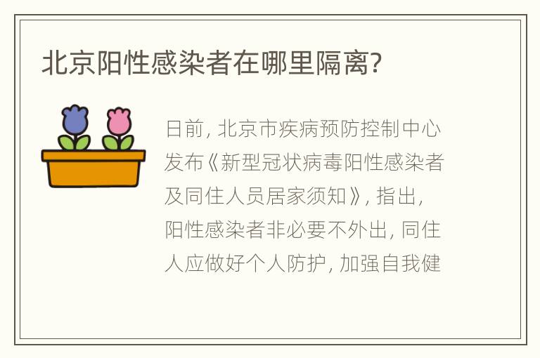 北京阳性感染者在哪里隔离？