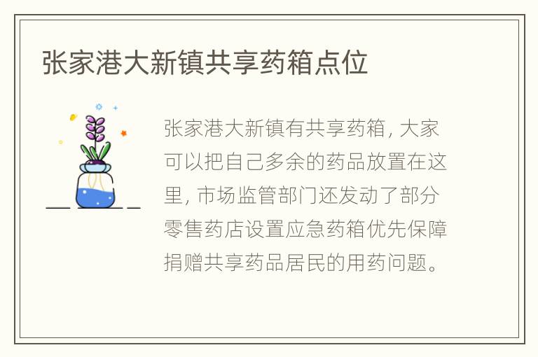 张家港大新镇共享药箱点位