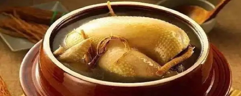 为什么公鸡不适合炖汤