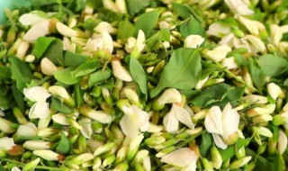 干刺槐花怎么炒好吃 干刺槐花如何炒好吃