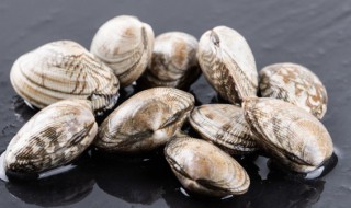 梭子蟹蛤蜊怎么炒好吃 炒梭子蟹蛤蜊的烹饪方法