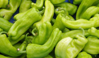 辣椒怎么炒出来好吃 炒辣椒的烹饪方法