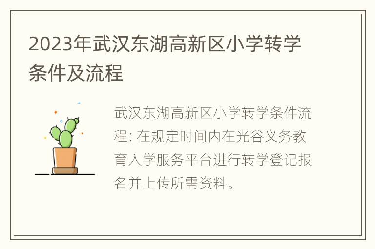2023年武汉东湖高新区小学转学条件及流程