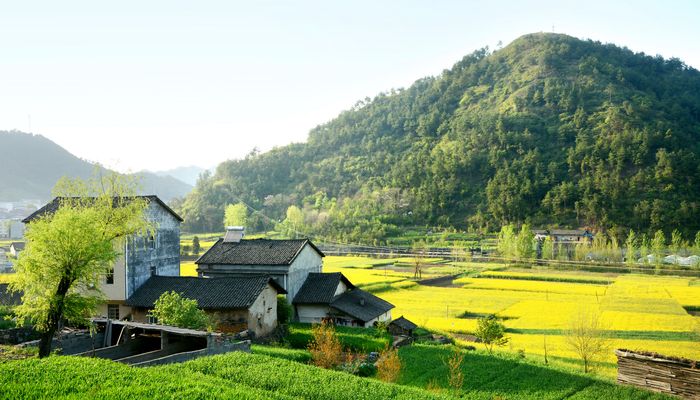 四时田园杂兴的意思