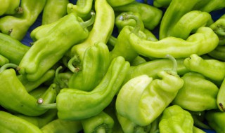 怎么炒油泡青辣椒好吃 怎么炒油豆泡青辣椒