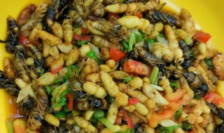 蜂蛹怎么炒好吃川味 川味蜂蛹的做法