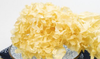 鲜金耳怎么炒好吃 腊肉炒金耳的做法