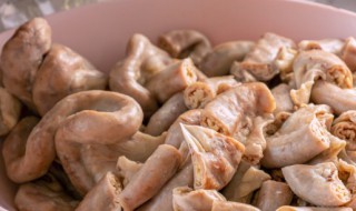 越南肥肠怎么炒好吃 越南肥肠的做法