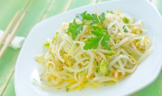 绿豆面苗怎么炒好吃 绿豆苗的做法介绍