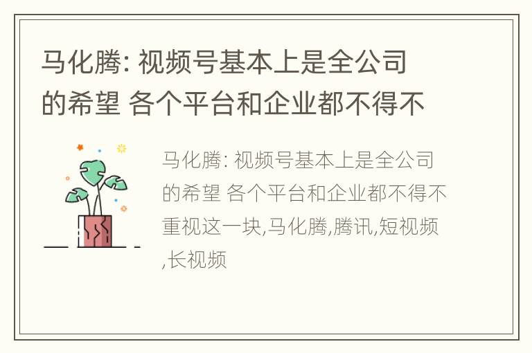 马化腾：视频号基本上是全公司的希望 各个平台和企业都不得不重视这一块