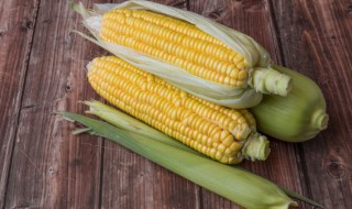 冰冻的生玉米需要煮多久 冰冻的生玉米需要煮的时间