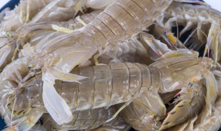 煮琵琶虾需要多久 煮琵琶虾需要多长时间