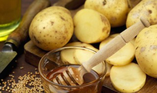 土豆一半炖多久会熟 土豆炖多久能熟透