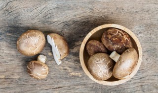 香菇包饺子需要煮多久 香菇包饺子煮多久才能吃