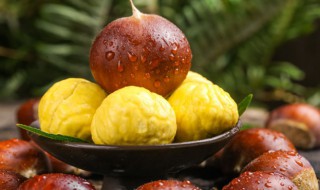 开口大板栗需要煮多久才熟 板栗直接煮还是开口煮