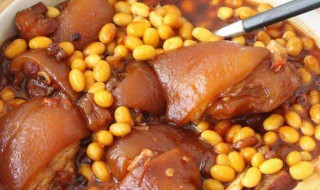 大豆炖猪蹄炖多久能烂熟 大豆炖猪蹄炖多长时间能烂熟呢