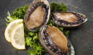 鲍鱼不带壳炖多久会熟 鲍鱼不带壳炖多长时间才会熟呢