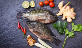 鲫鱼豆腐放开水炖多久会熟 鲫鱼豆腐汤炖多长时间