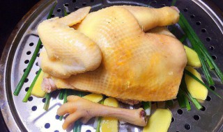 真正隔水蒸鸡的做法 真正隔水蒸鸡如何制作呢