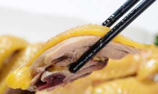 母鸡需要煮多久 母鸡需要煮多久才熟