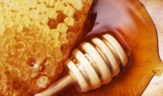 蜂巢需要煮多久 蜂巢需要煮的时间