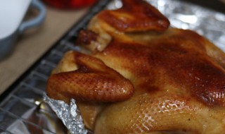 深圳隔水蒸鸡的做法 深圳隔水蒸鸡怎么做