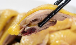 隔水蒸鸡蘸酱的做法 隔水蒸鸡蘸酱怎么做