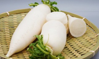 萝卜炖多久会熟 萝卜炖多长时间会熟呢