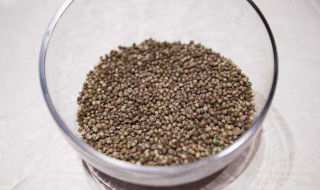 火麻仁需要煮多久 火麻仁的食用方法