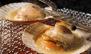 大文贝需要煮多久 大文贝需要煮的时间