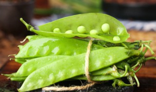 荷兰豆需要煮多久能熟 荷兰豆需要煮的时间