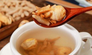 麦冬与什么搭配炖汤最佳 麦冬与哪些东西搭配炖汤好呢