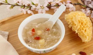 白木耳炖锅炖多久会熟 白木耳炖多长时间能熟