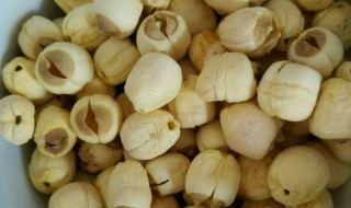 新鲜煮熟的莲子怎么保存 新鲜煮熟的莲子的保存方法介绍