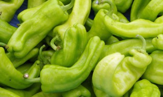 新鲜青辣椒怎么保存不坏 新鲜青辣椒保存不坏的方法介绍
