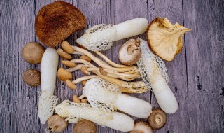 干菌类炖多久会熟 干菌类炖多长时间会熟呢
