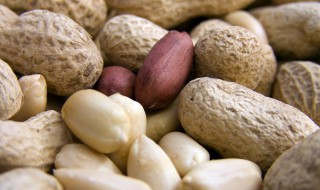 水煮带壳花生需要煮多久 水煮带壳花生怎么做