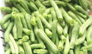 豆王一般需要煮多久 豆王一般需要煮多长时间