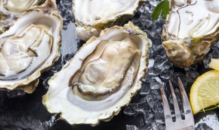 生蚝煮之前需要泡多久 生蚝煮之前需要泡多长时间