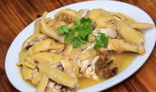 南宁隔水蒸鸡做法 南宁隔水蒸鸡做法推荐