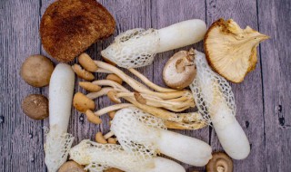 干茶树菇做火锅需要煮多久 干茶树菇火锅的烹饪方法