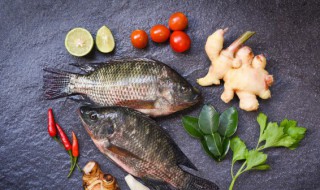 鱼加水后炖多久会熟呢 鱼加水后炖多久比较好