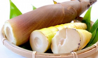 新鲜的竹笋怎么做汤 新鲜的竹笋如何做汤好喝呢