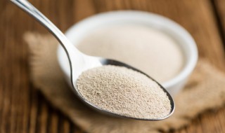 烤烧饼用什么酵母好吃 烤烧饼用哪种酵母比较好