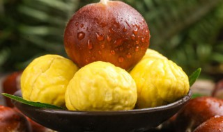 新鲜板栗怎么保存的久一些 新鲜板栗可以保存久一些的方法分享